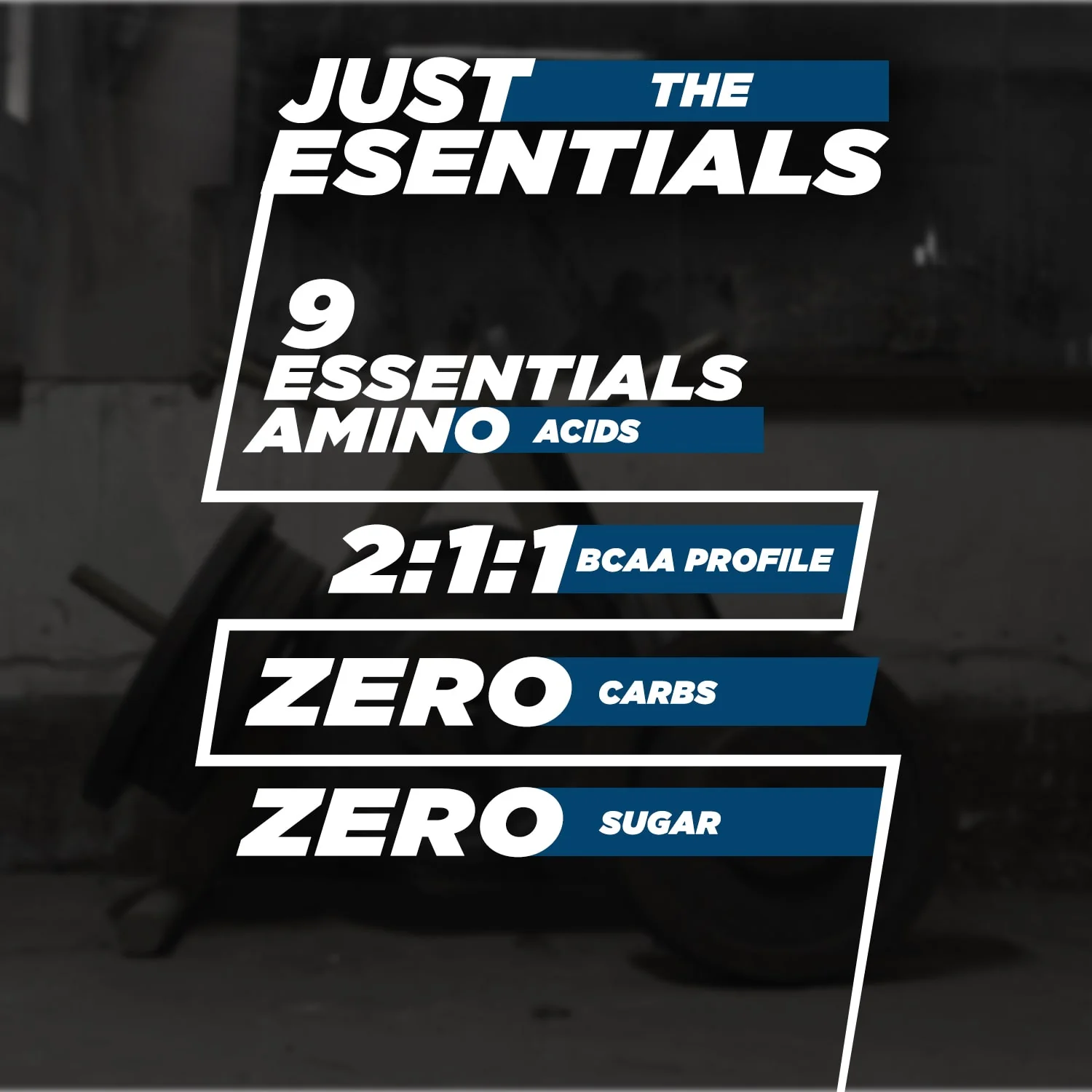 Essential EAA - Image 5