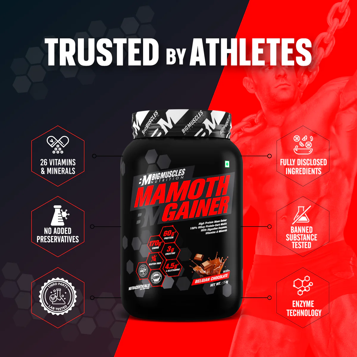 Mamoth Gainer - Image 6