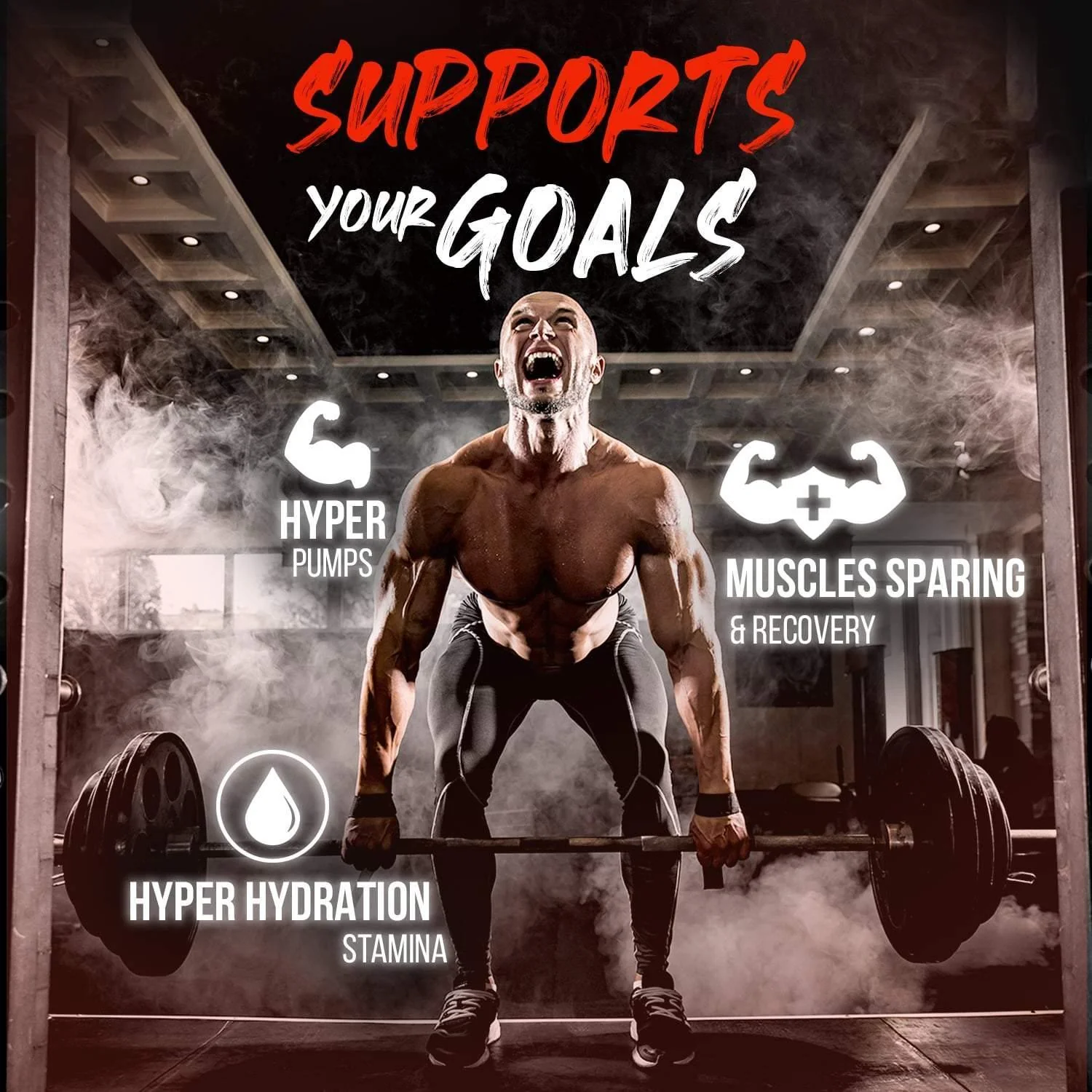 Shredz Pre - Image 14